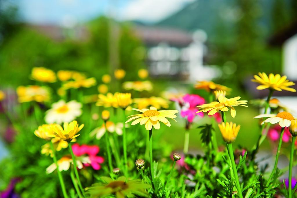 Parkhotel Wallgau Buitenkant foto
